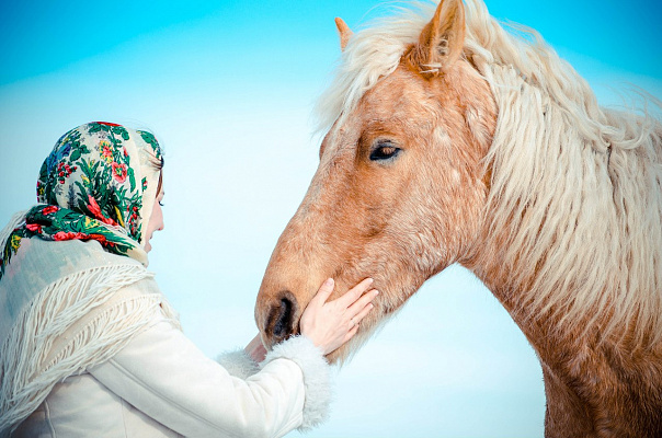 Конная прогулка  в Самаре. Подарочные сертификаты Ultra Подарки. Купить оригинальный подарок или подарочный сертификат на Конная прогулка  в Самаре. Сервис UltraPodarki.ru 8-800-505-9530. Катание на лошадях, Прогулка на лошади, Прогулка на лошадях для двоих, Конная прогулка .  Конный клуб, конная прогулка, конная прогулка в Самаре,