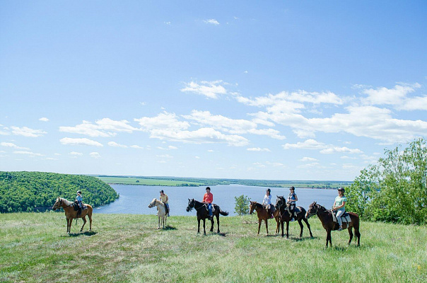 Конная прогулка  в Самаре. Подарочные сертификаты Ultra Подарки. Купить оригинальный подарок или подарочный сертификат на Конная прогулка  в Самаре. Сервис UltraPodarki.ru 8-800-505-9530. Катание на лошадях, Прогулка на лошади, Прогулка на лошадях для двоих, Конная прогулка .  Конный клуб, конная прогулка, конная прогулка в Самаре,