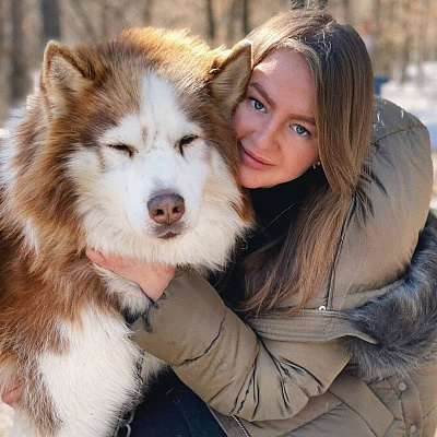 Катание на хаски в Самаре. Ultra Подарки. Катание на хаски в Самаре. Попробуйте Катание на хаски. Сервис: UltraPodarki.ru 8 800 505 95 30. Катание на хаски Самара, Катание на хаски в Самаре, хаски, животные в Самаре, 