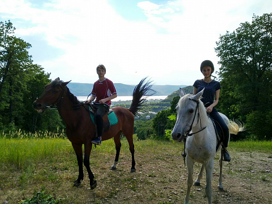Конная прогулка в Самаре. Подарочные сертификаты Ultra Подарки. Купить оригинальный подарок или подарочный сертификат на Конная прогулка в Самаре. Сервис UltraPodarki.ru 8-800-505-9530. Катание на лошадях, Прогулка на лошади, Прогулка на лошадях для двоих, Конная прогулка.  Конный клуб, конная прогулка, конная прогулка в Самаре