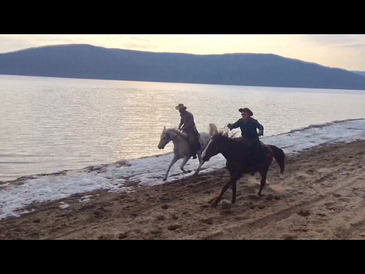 Конная прогулка в Самаре. Подарочные сертификаты Ultra Подарки. Купить оригинальный подарок или подарочный сертификат на Конная прогулка в Самаре. Сервис UltraPodarki.ru 8-800-505-9530. Катание на лошадях, Прогулка на лошади, Прогулка на лошадях для двоих, Конная прогулка.  Конный клуб, конная прогулка, конная прогулка в Самаре