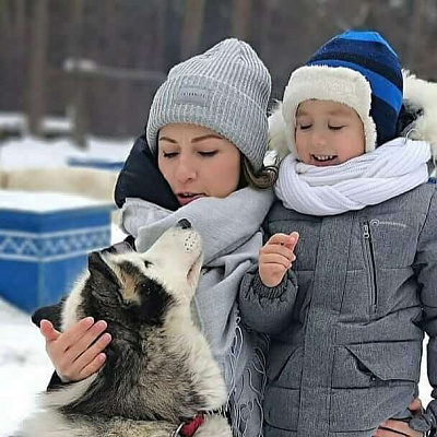 Катание на хаски в Самаре. Ultra Подарки. Катание на хаски в Самаре. Попробуйте Катание на хаски. Сервис: UltraPodarki.ru 8 800 505 95 30. Катание на хаски Самара, Катание на хаски в Самаре, хаски, животные в Самаре, 