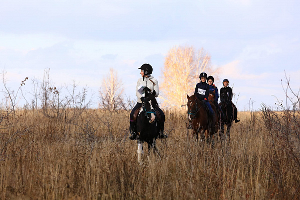 Конная прогулка  в Самаре. Подарочные сертификаты Ultra Подарки. Купить оригинальный подарок или подарочный сертификат на Конная прогулка  в Самаре. Сервис UltraPodarki.ru 8-800-505-9530. Катание на лошадях, Прогулка на лошади, Прогулка на лошадях для двоих, Конная прогулка .  Конный клуб, конная прогулка, конная прогулка в Самаре,