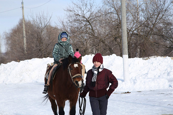 Конная прогулка  в Самаре. Подарочные сертификаты Ultra Подарки. Купить оригинальный подарок или подарочный сертификат на Конная прогулка  в Самаре. Сервис UltraPodarki.ru 8-800-505-9530. Катание на лошадях, Прогулка на лошади, Прогулка на лошадях для двоих, Конная прогулка .  Конный клуб, конная прогулка, конная прогулка в Самаре,