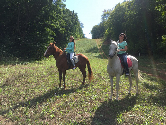 Конная прогулка в Самаре. Подарочные сертификаты Ultra Подарки. Купить оригинальный подарок или подарочный сертификат на Конная прогулка в Самаре. Сервис UltraPodarki.ru 8-800-505-9530. Катание на лошадях, Прогулка на лошади, Прогулка на лошадях для двоих, Конная прогулка.  Конный клуб, конная прогулка, конная прогулка в Самаре