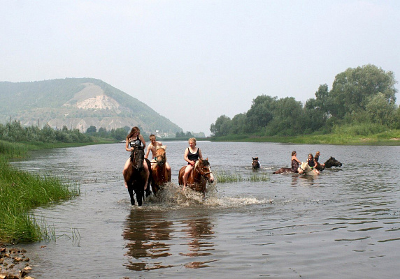 Конная прогулка  в Самаре. Подарочные сертификаты Ultra Подарки. Купить оригинальный подарок или подарочный сертификат на Конная прогулка  в Самаре. Сервис UltraPodarki.ru 8-800-505-9530. Катание на лошадях, Прогулка на лошади, Прогулка на лошадях для двоих, Конная прогулка .  Конный клуб, конная прогулка, конная прогулка в Самаре,