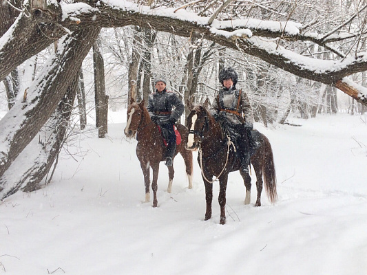 Конная прогулка в Самаре. Подарочные сертификаты Ultra Подарки. Купить оригинальный подарок или подарочный сертификат на Конная прогулка в Самаре. Сервис UltraPodarki.ru 8-800-505-9530. Катание на лошадях, Прогулка на лошади, Прогулка на лошадях для двоих, Конная прогулка.  Конный клуб, конная прогулка, конная прогулка в Самаре