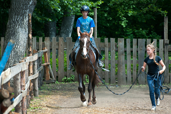 Конная прогулка в Самаре. Подарочные сертификаты Ultra Подарки. Купить оригинальный подарок или подарочный сертификат на Конная прогулка в Самаре. Сервис UltraPodarki.ru 8-800-505-9530. Катание на лошадях, Прогулка на лошади, Прогулка на лошадях для двоих, Конная прогулка.  Конный клуб, конная прогулка, конная прогулка в Самаре