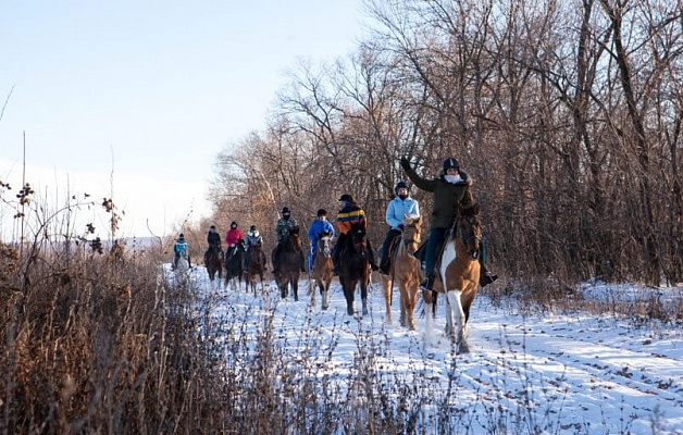 Конная прогулка  в Самаре. Подарочные сертификаты Ultra Подарки. Купить оригинальный подарок или подарочный сертификат на Конная прогулка  в Самаре. Сервис UltraPodarki.ru 8-800-505-9530. Катание на лошадях, Прогулка на лошади, Прогулка на лошадях для двоих, Конная прогулка .  Конный клуб, конная прогулка, конная прогулка в Самаре,