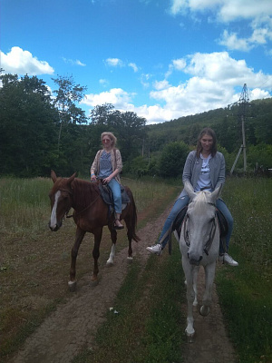 Конная прогулка в Самаре. Подарочные сертификаты Ultra Подарки. Купить оригинальный подарок или подарочный сертификат на Конная прогулка в Самаре. Сервис UltraPodarki.ru 8-800-505-9530. Катание на лошадях, Прогулка на лошади, Прогулка на лошадях для двоих, Конная прогулка.  Конный клуб, конная прогулка, конная прогулка в Самаре