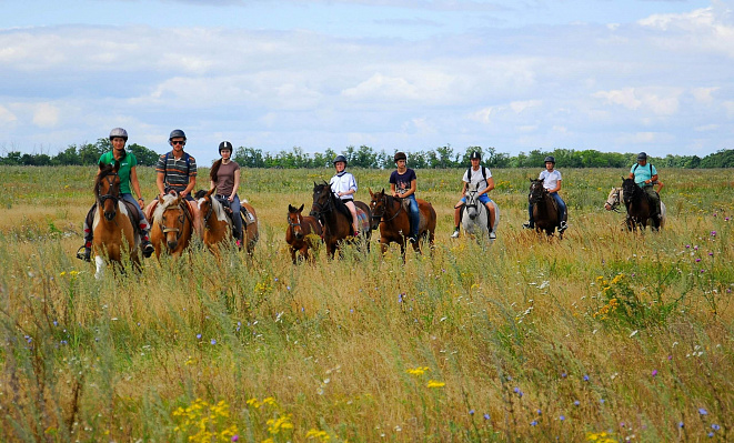 Конная прогулка  в Самаре. Подарочные сертификаты Ultra Подарки. Купить оригинальный подарок или подарочный сертификат на Конная прогулка  в Самаре. Сервис UltraPodarki.ru 8-800-505-9530. Катание на лошадях, Прогулка на лошади, Прогулка на лошадях для двоих, Конная прогулка .  Конный клуб, конная прогулка, конная прогулка в Самаре,