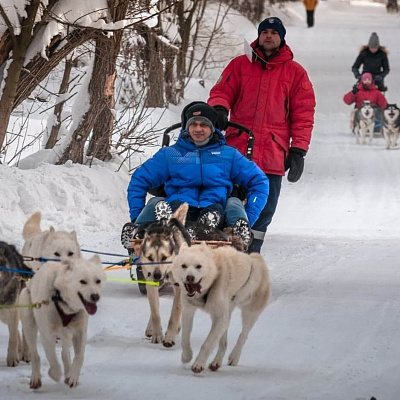 Катание на хаски в Самаре. Ultra Подарки. Катание на хаски в Самаре. Попробуйте Катание на хаски. Сервис: UltraPodarki.ru 8 800 505 95 30. Катание на хаски Самара, Катание на хаски в Самаре, хаски, животные в Самаре, 