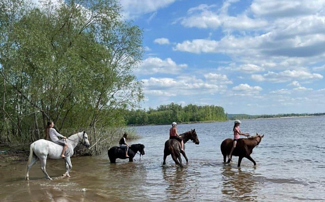 Конная прогулка самара