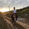 Конная прогулка в Самаре. Подарочные сертификаты Ultra Подарки. Купить оригинальный подарок или подарочный сертификат на Конная прогулка в Самаре. Сервис UltraPodarki.ru 8-800-505-9530. Катание на лошадях, Прогулка на лошади, Прогулка на лошадях для двоих, Конная прогулка.  Конный клуб, конная прогулка, конная прогулка в Самаре