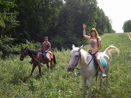 Конная прогулка в Самаре. Подарочные сертификаты Ultra Подарки. Купить оригинальный подарок или подарочный сертификат на Конная прогулка в Самаре. Сервис UltraPodarki.ru 8-800-505-9530. Катание на лошадях, Прогулка на лошади, Прогулка на лошадях для двоих, Конная прогулка.  Конный клуб, конная прогулка, конная прогулка в Самаре